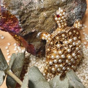 Charlie The Turtle Brooch